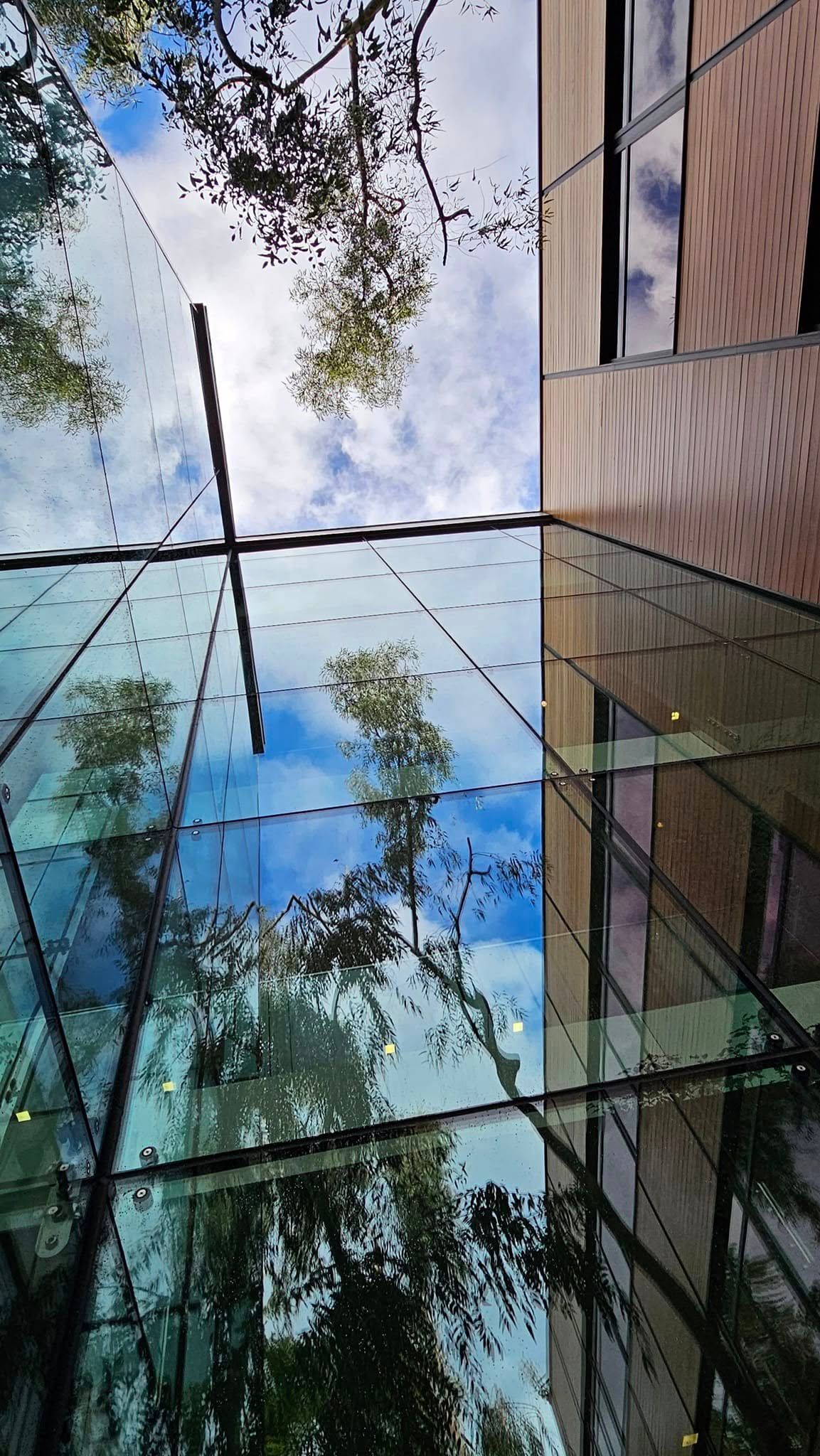 Clean glass facade reflecting trees and sky.