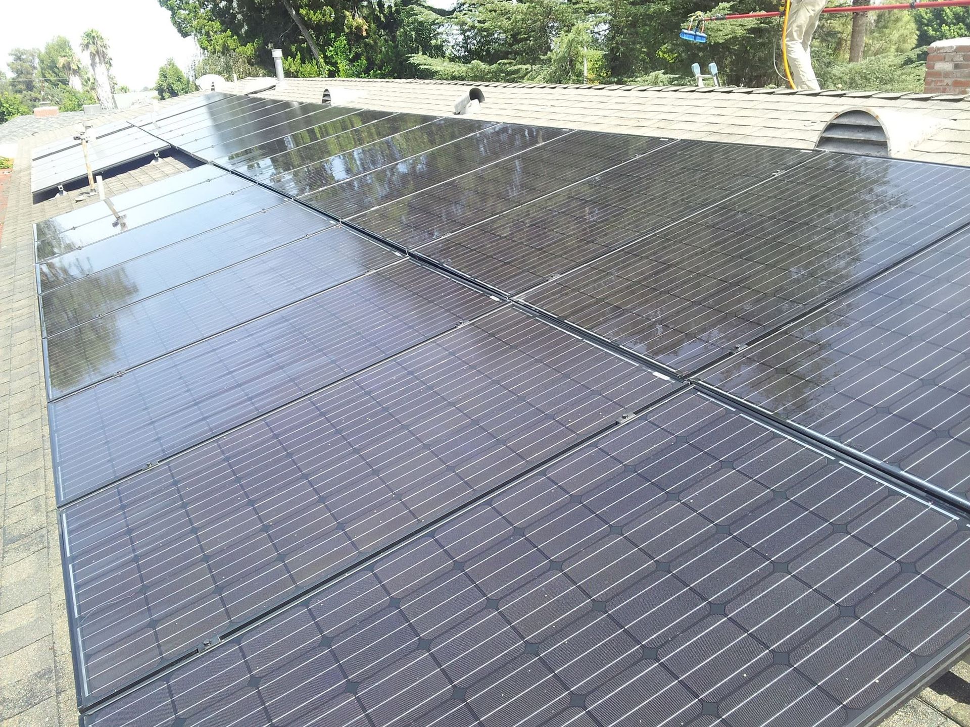 Rows of rooftop solar panels on a shingle roof