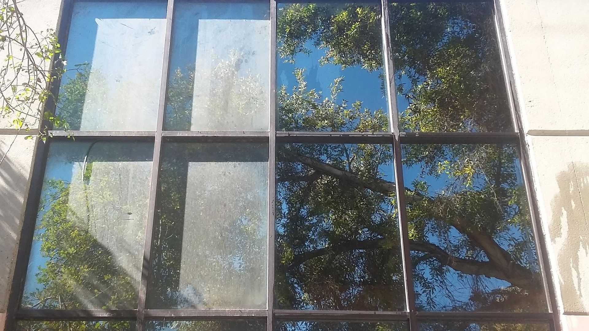 Exterior window panes with visible dirt and water spotting before
cleaning