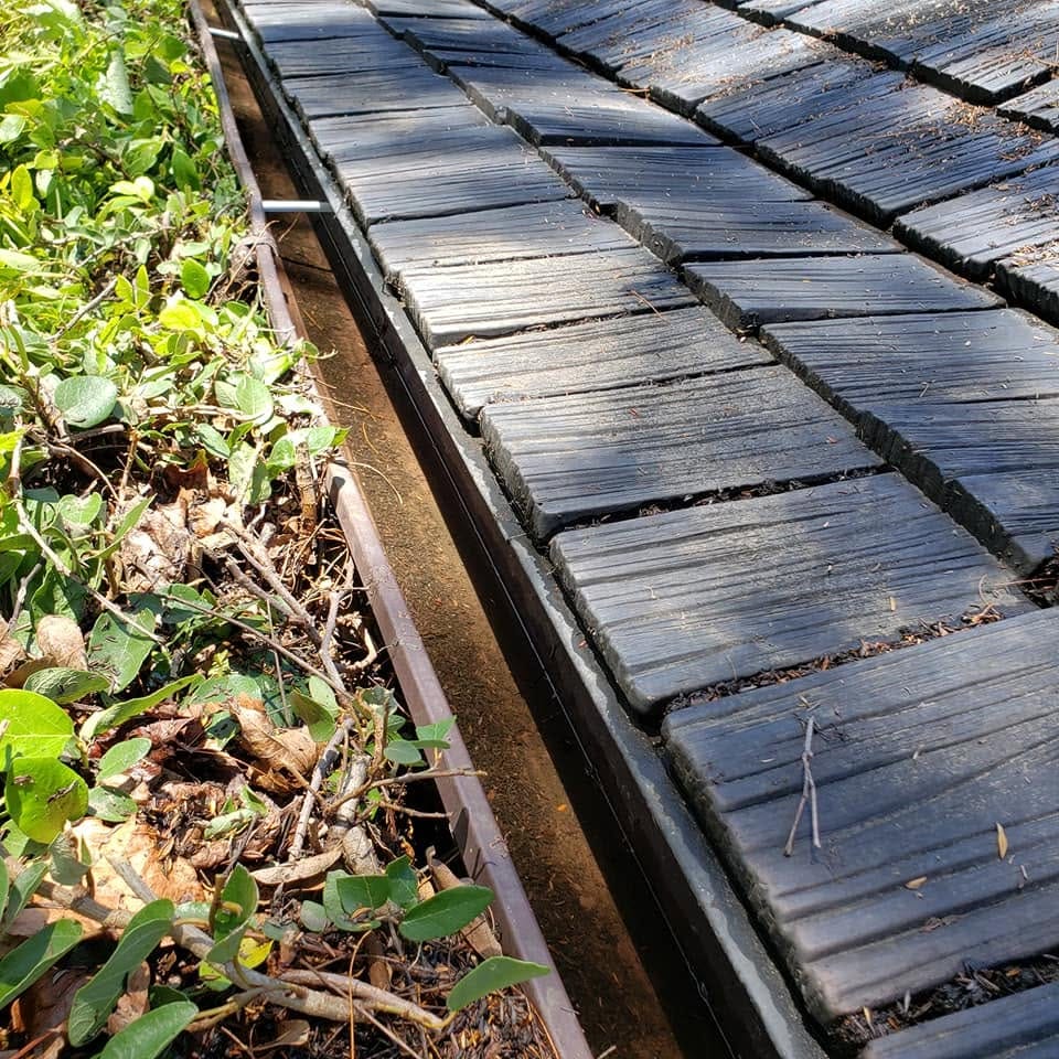 Leaves and debris clogging a roof gutter.