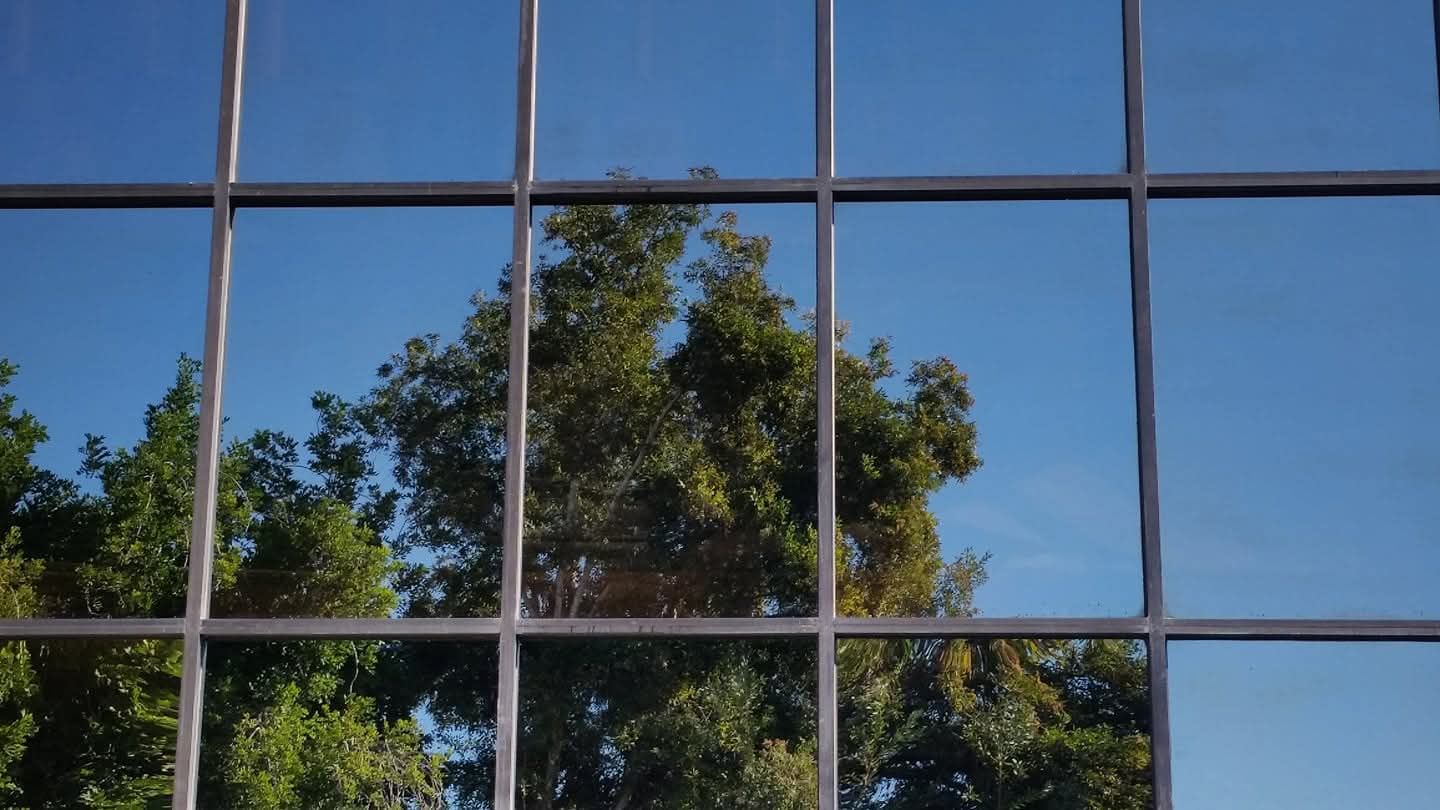 Clean window panes reflecting trees and sky