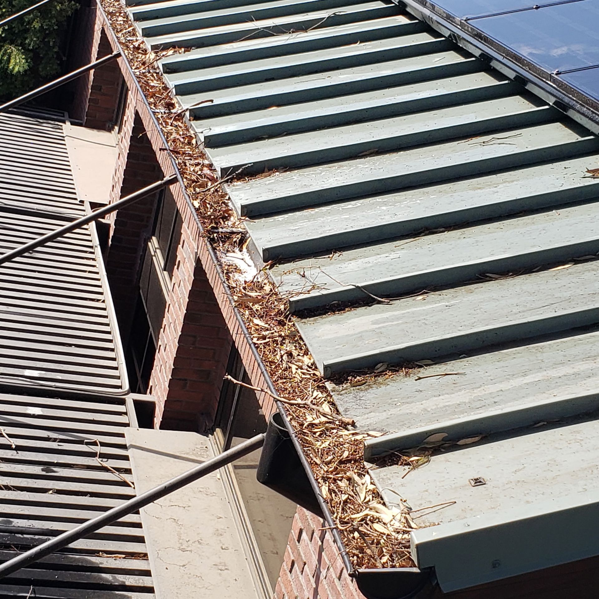 Roof gutter packed with dry leaves and debris
